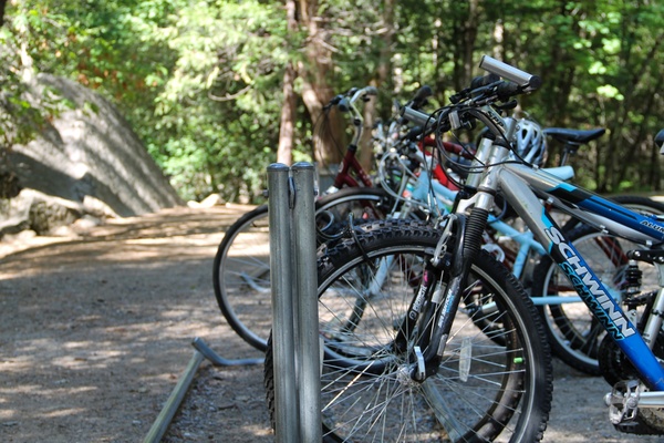 bicycles on a bike rack in the forest