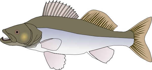 Big Fish Candat Animal clip art