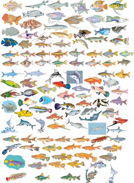 Big Vector Collection of Different Fish