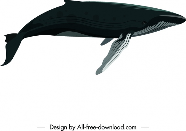 big whale icon colored cartoon sketch