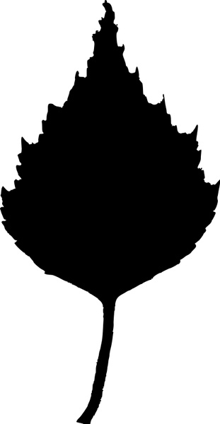 birch leaf silhouette