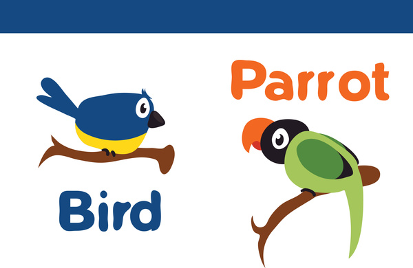 bird and parrot