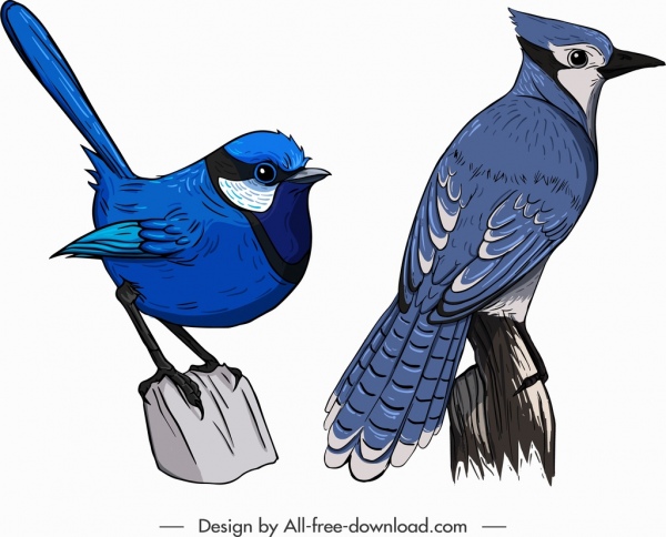 bird creature icons blue sparrow red whiskered sketch