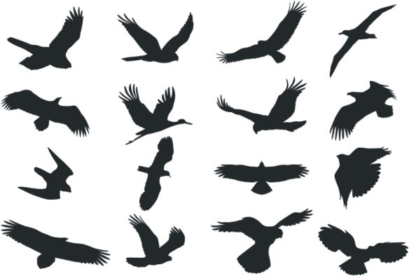 bird silhouette vector