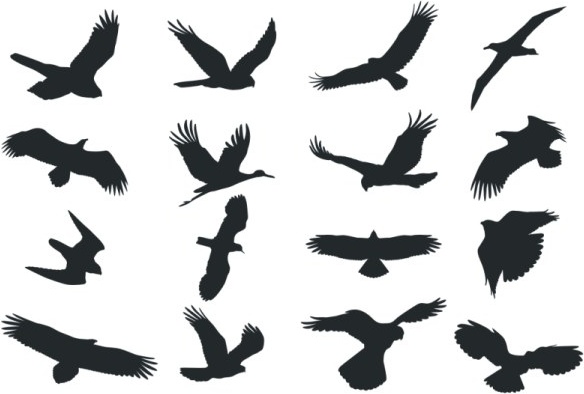 bird silhouette vector 