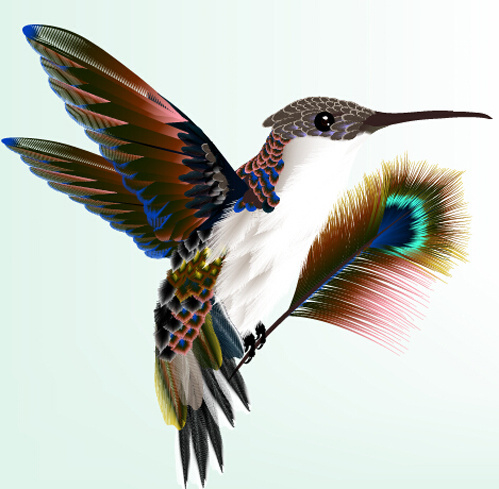 Download Peacock feather vector design free vector download (663 ...
