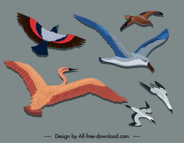 birds painting colorful flat sketch motion design