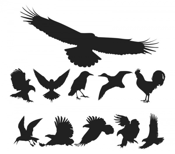 birds silhouette vector pack free cdr vectors art