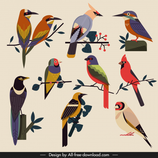 birds species icons classical multicolored flat sketch