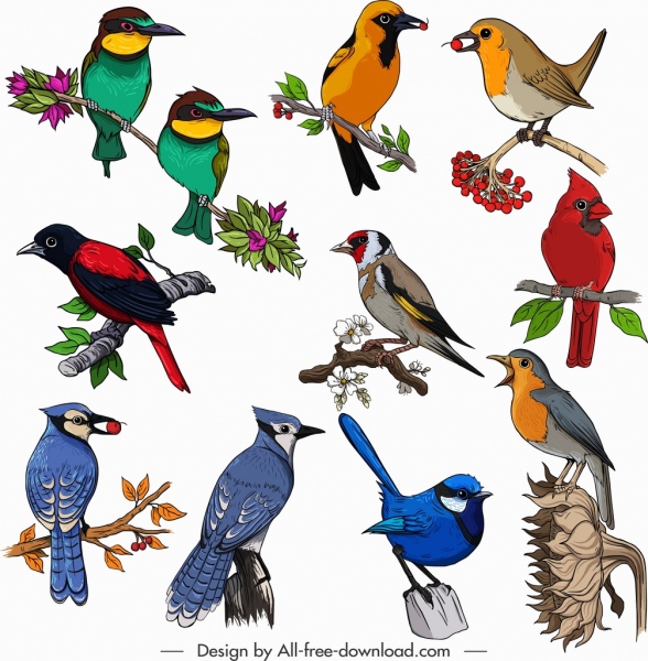 birds species icons collection classical multicolored perching sketch