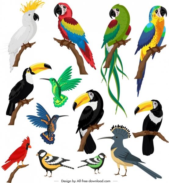 birds species icons colorful sketch