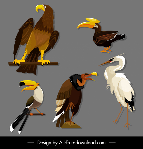 birds species icons eagle toucan stork vulture sketch