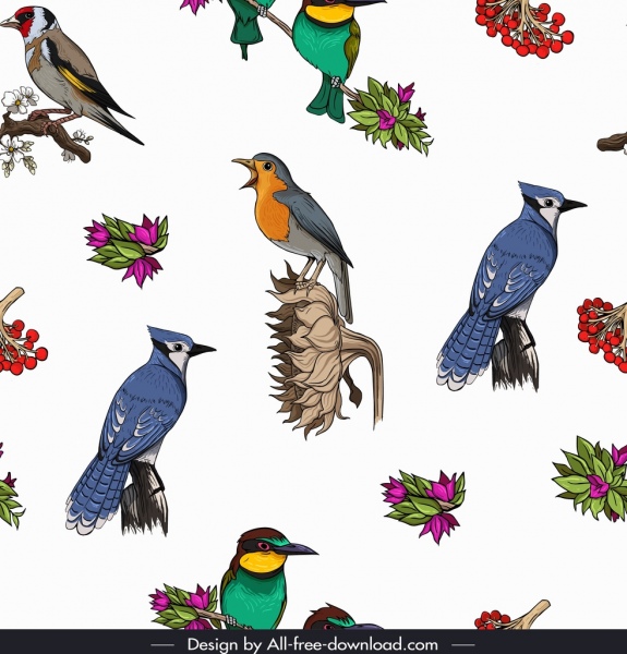 birds species pattern bright colorful repeating decor