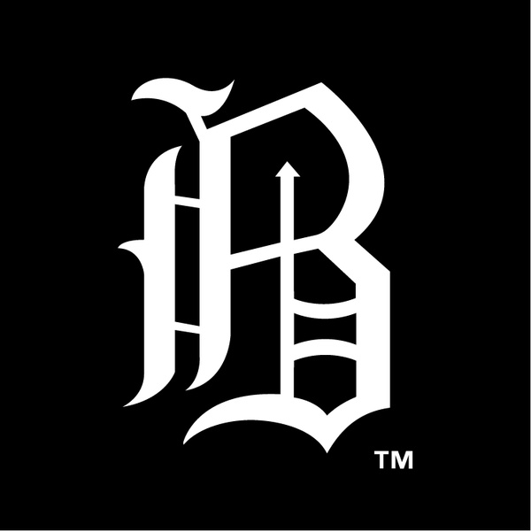 birmingham barons 1 