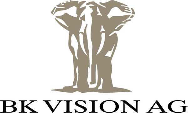 bk vision