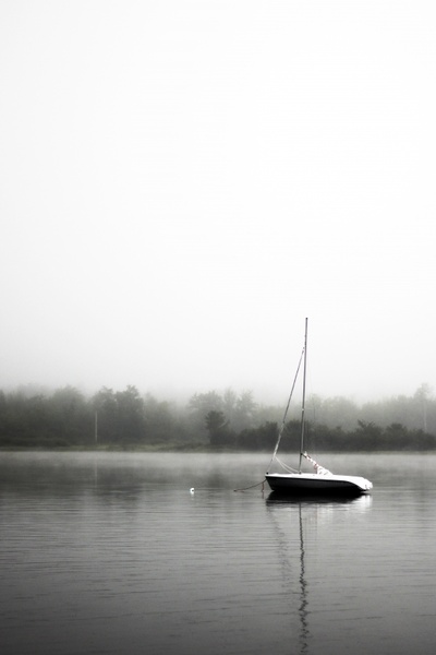 black and white boat calm fog grass lake landscape 