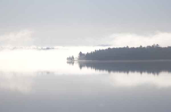 black and white calm dawn fog forest lake landscape 