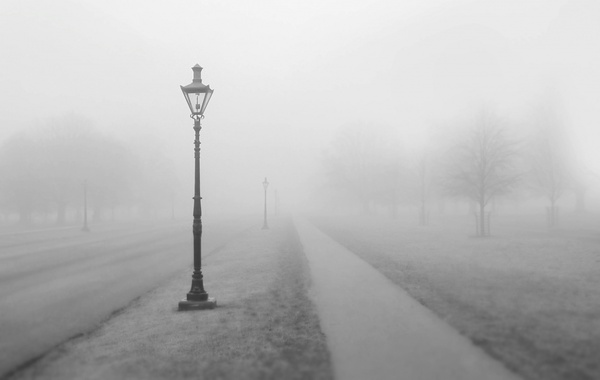 black and white cold fog frost haze landscape mist