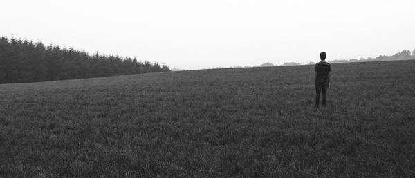 black and white country countryside farm field fog