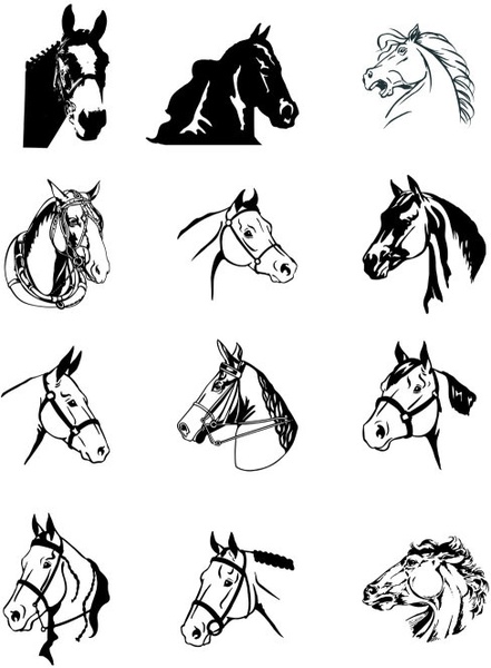 black and white horse vector