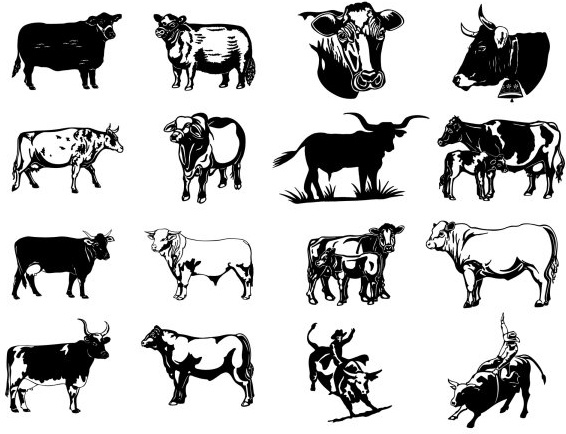 black and white paintings series two cow vector clip art pictures