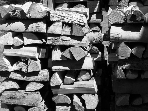 black and white wood pile 