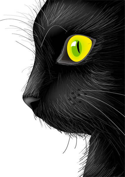 black cat face with bright eye