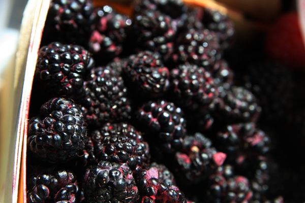 black raspberries 