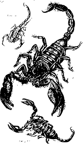 Black Scorpions clip art