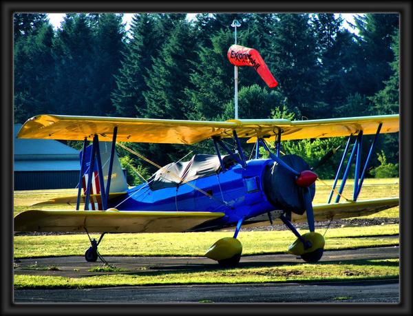 blue and yellow biplane
