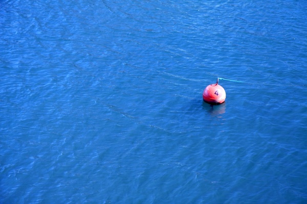 blue buoy float