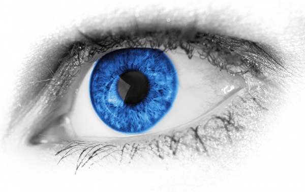 blue eye detail