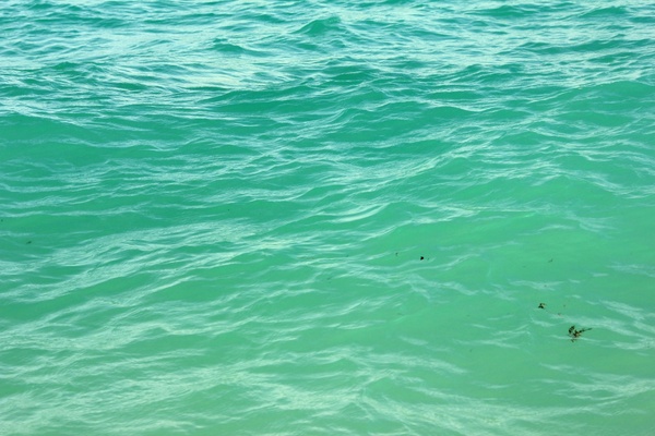 blue green water at miami florida