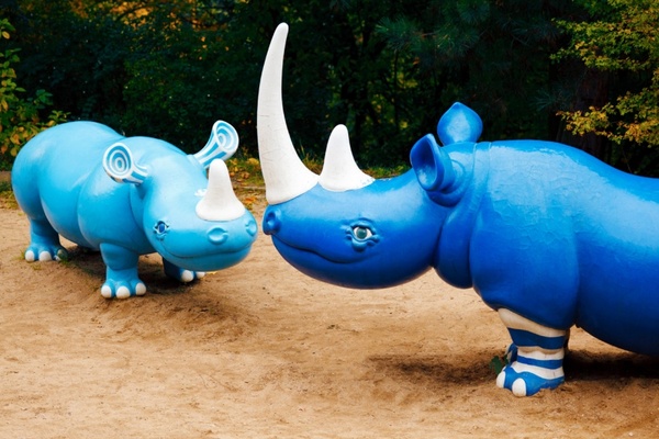 blue hippos