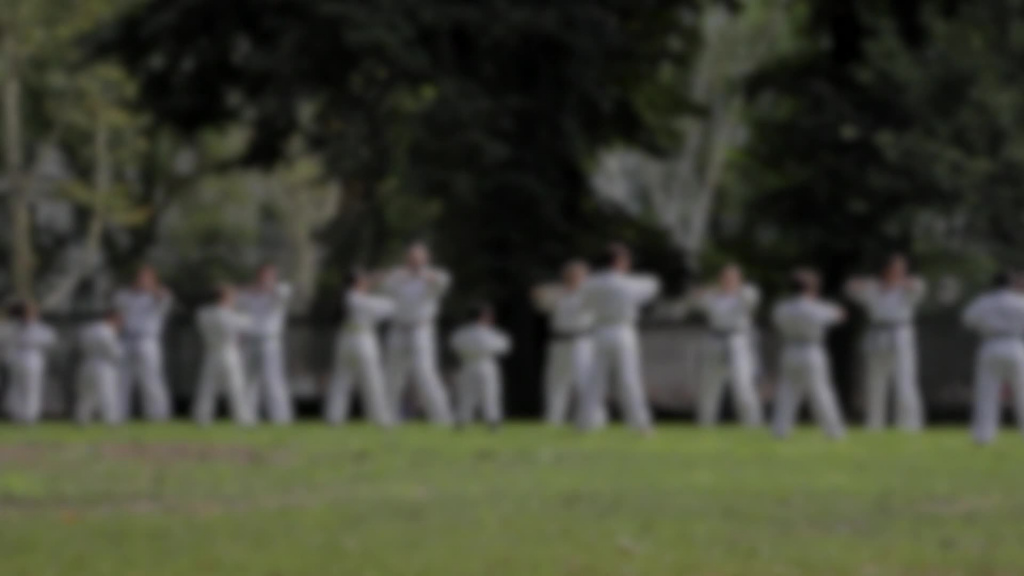 blurred clip of martial arts learner practising outdoor