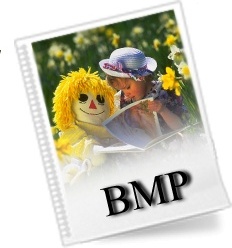 BMP File