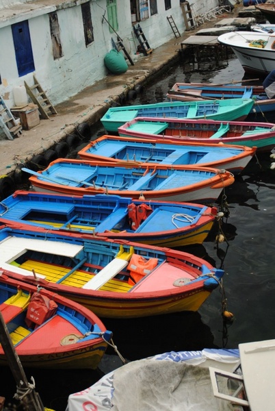 boat colorful color