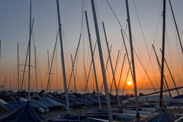 boat masts at sunset