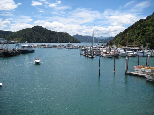 boats in the harbor surrounded by hills
