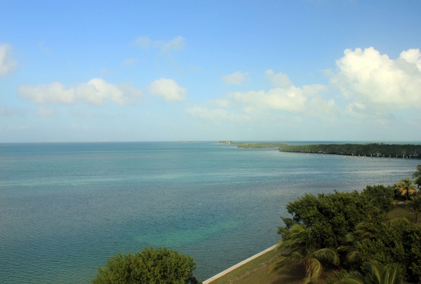 boca chita shoreline at biscayne national park florida
