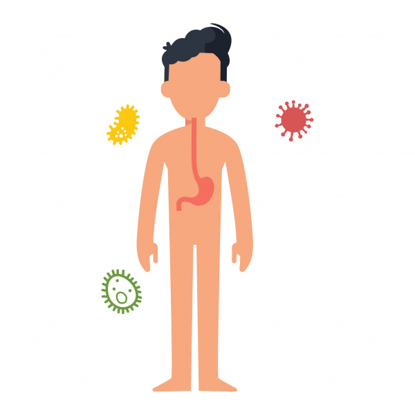 body and stomach keep the body from germs virus and bacteria