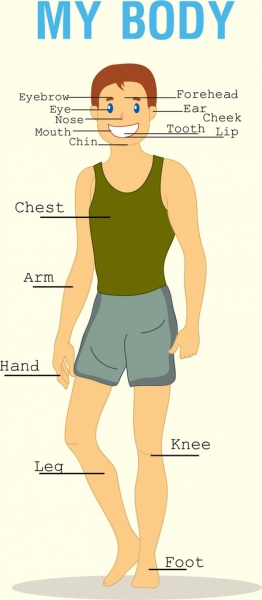 body inforgraphic background boy icon texts illustration