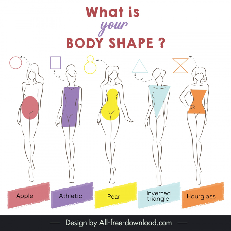 body shape infographic template flat handdrawn ladies outline
