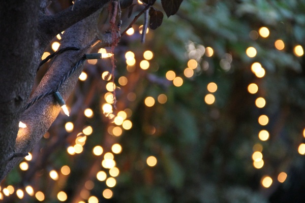 bokeh of string lights on tree