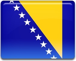 Bosnian Flag