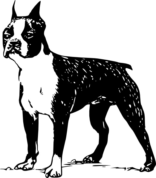Boston Terrier clip art