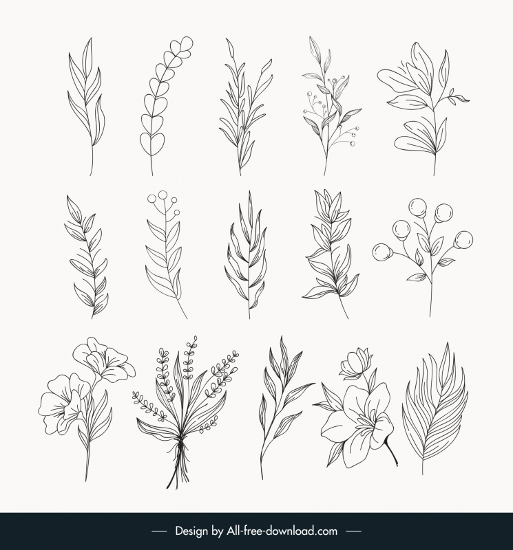 botanical minimal plants and flowers icons sets flat classic handdrawn design