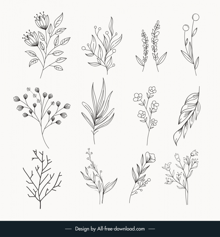 botanical minimal plants and flowers icons sets flat classical handdrawn outline