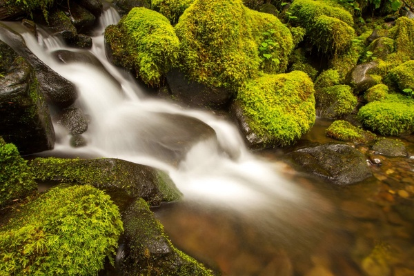 boulder cascade creek fall flow moss mossy nature