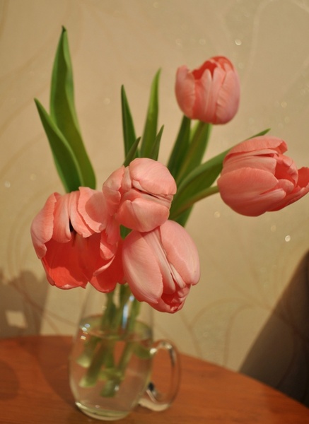 bouquet of pink tulips 